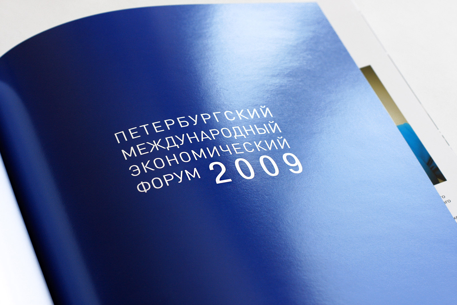 Экономический форум, Asgard Branding, юбилейный альбом, дизайн, печать, печатные издания, дизайн книги, ПМЭФ