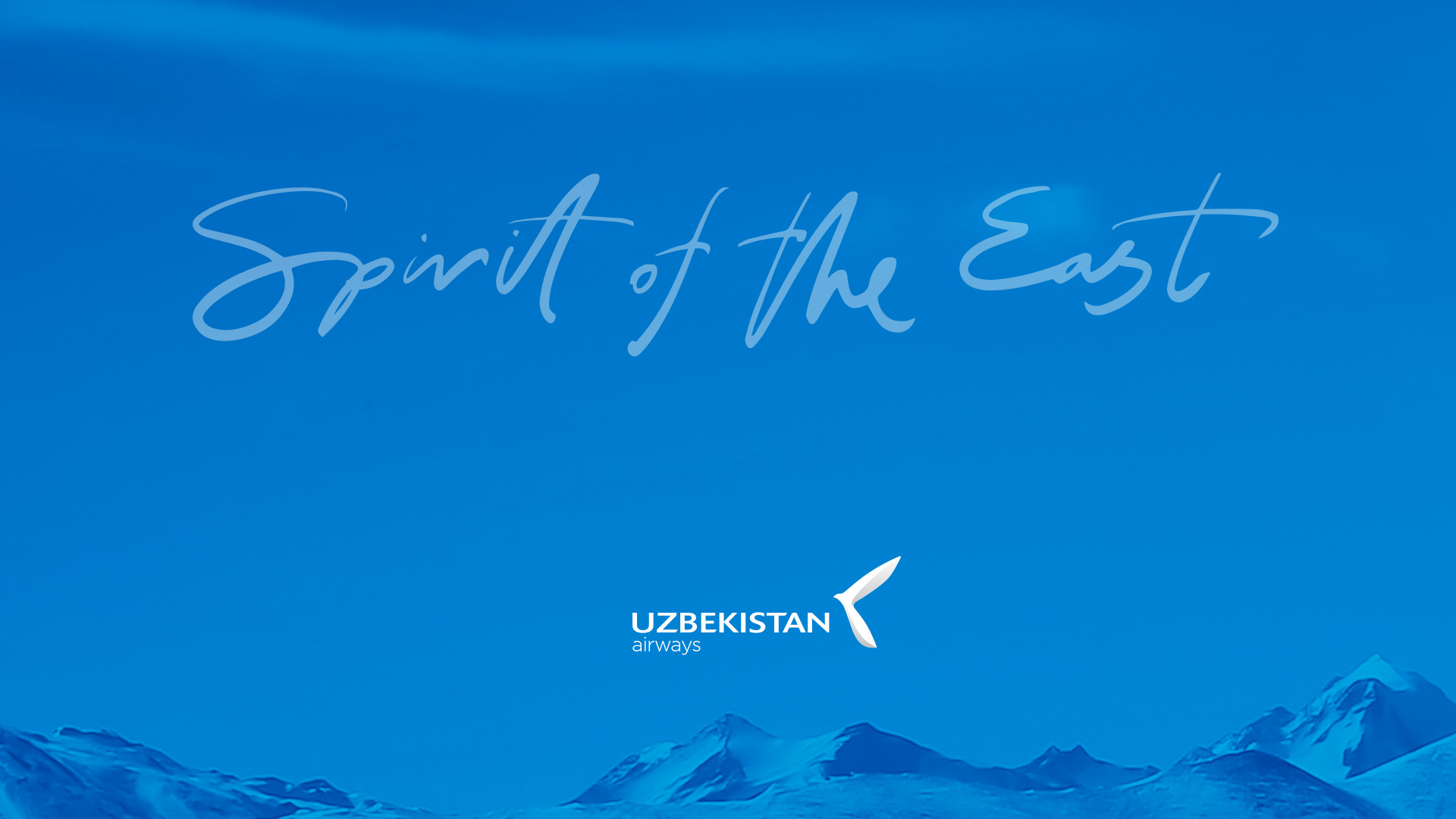 Spirit of the East, дух востока, airlines corporate identity, фирменный стиль авиакомпании, airways logo design, сalligraphy