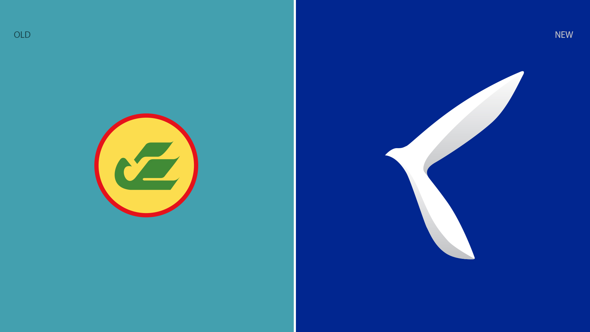 humo neo, хумо нео, uzbekistan, bird logo, airways identity, фирменный стиль