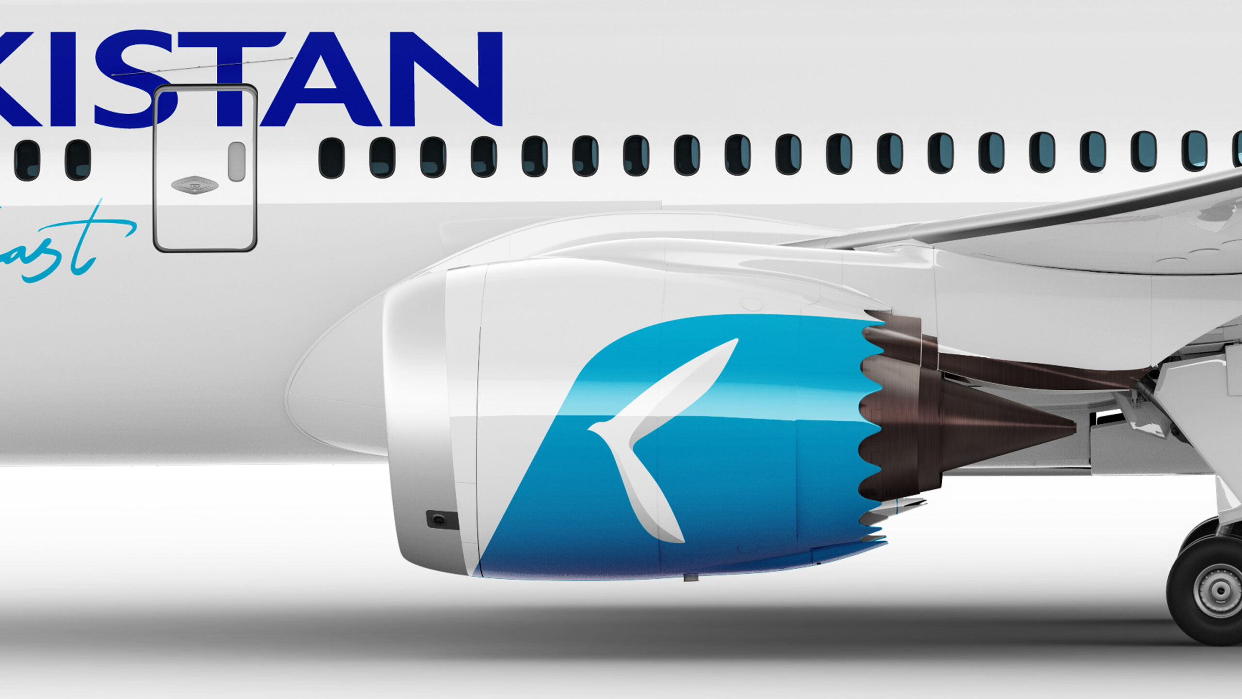 дизайн ливреи самолета, uzbekistan airways, aircraft livery design, livery, boeing 787, engine branding, logo bird