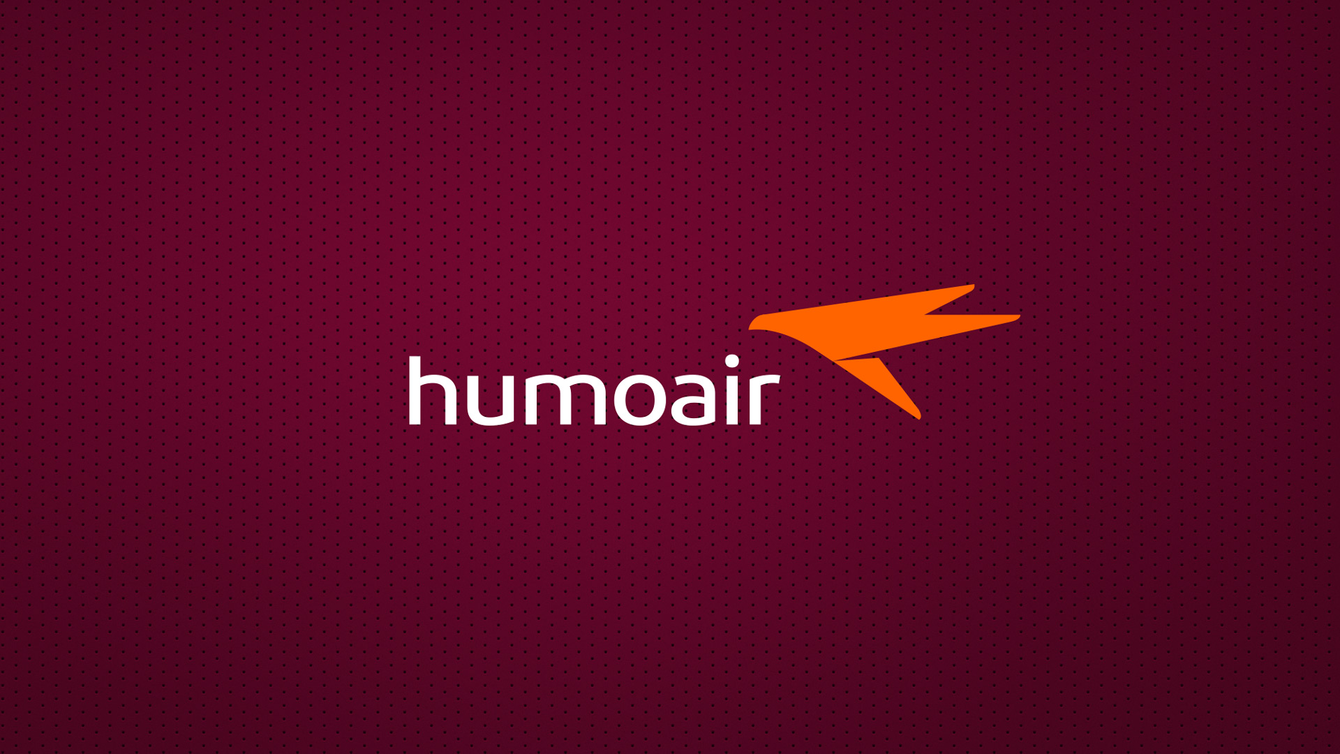 Брендинг авиакомпании, Humo Air, фирменный стиль, брендинг, Асгард