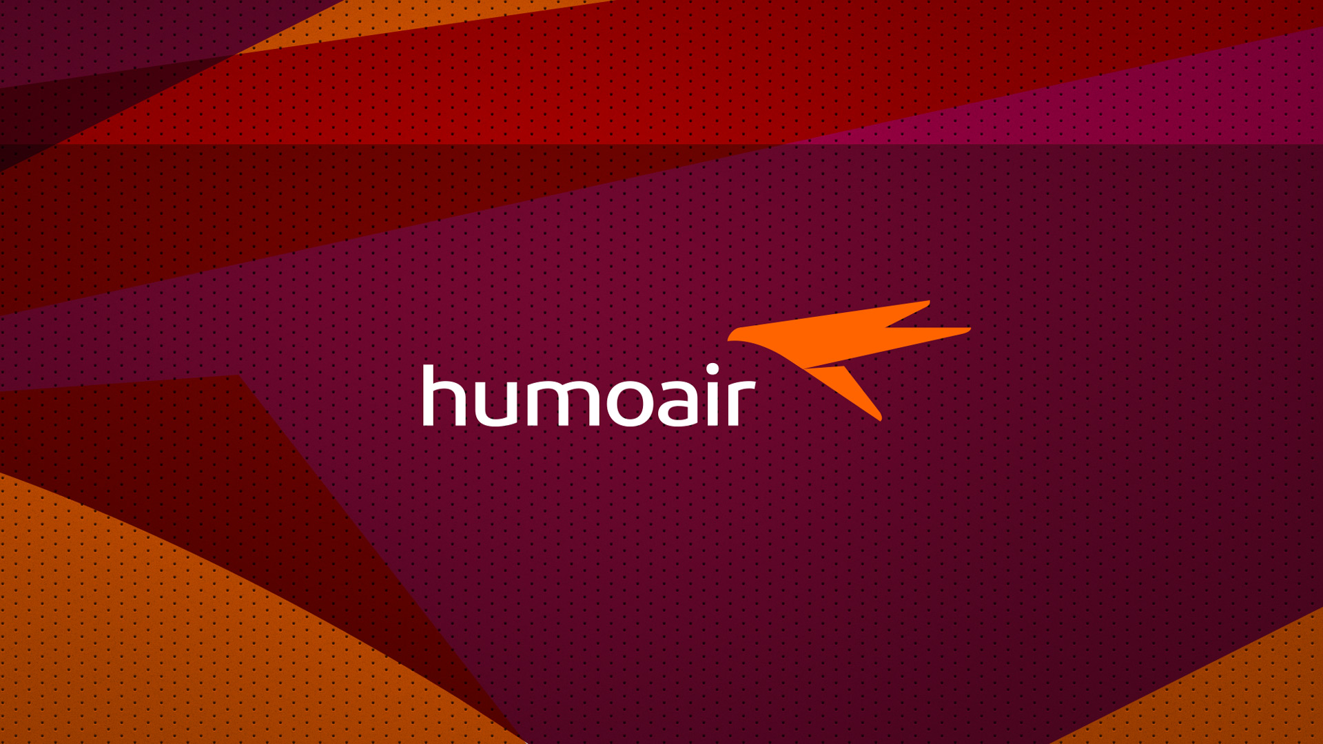 Лого авиакомпании, Humo air, брендинг авиакомпании, айдентика, Асгард брендинг