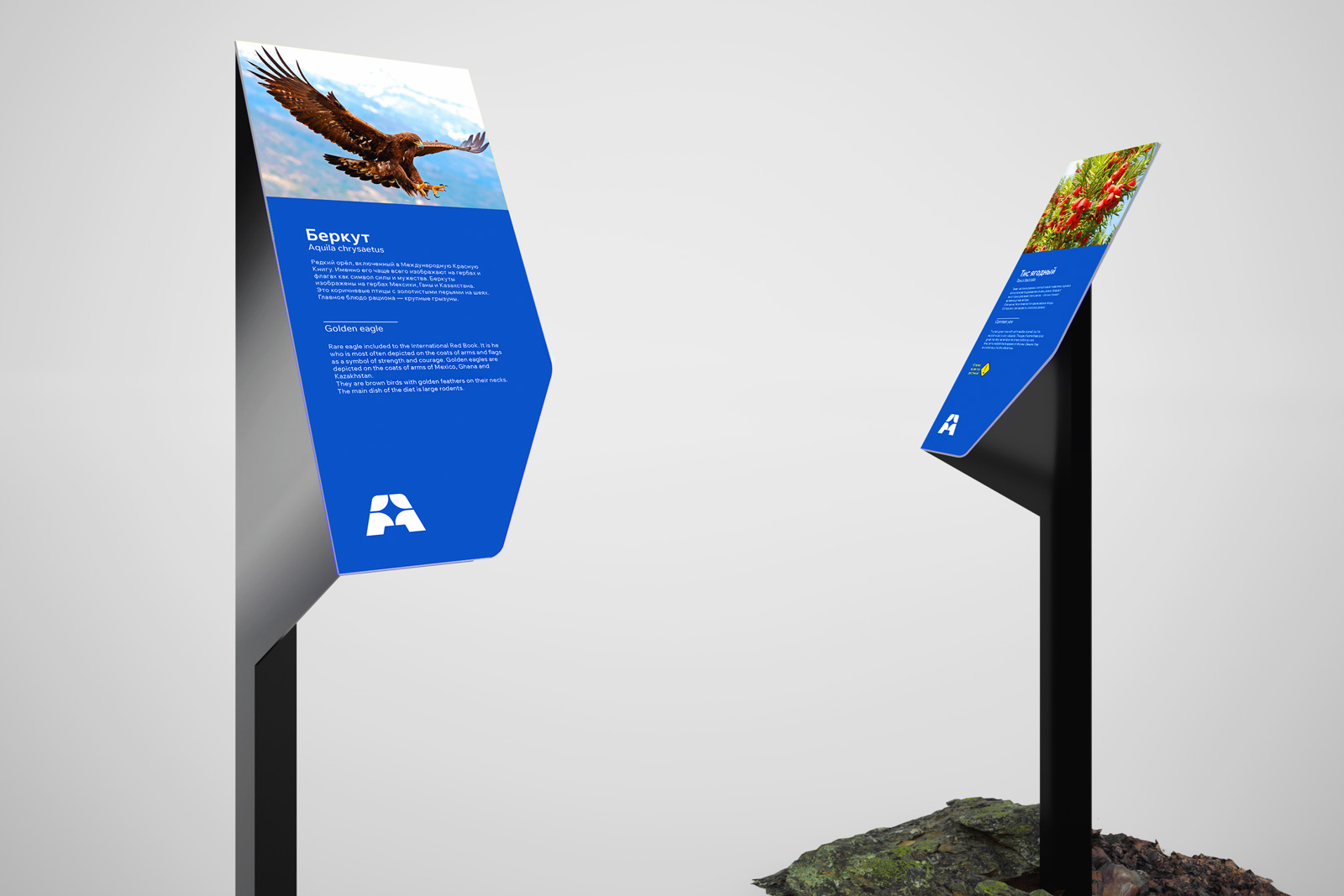 курорт Архыз, промышленный дизайн, стойка информации, 3d-модель, 3d, брендинг, логотип, лого, средовые объекты