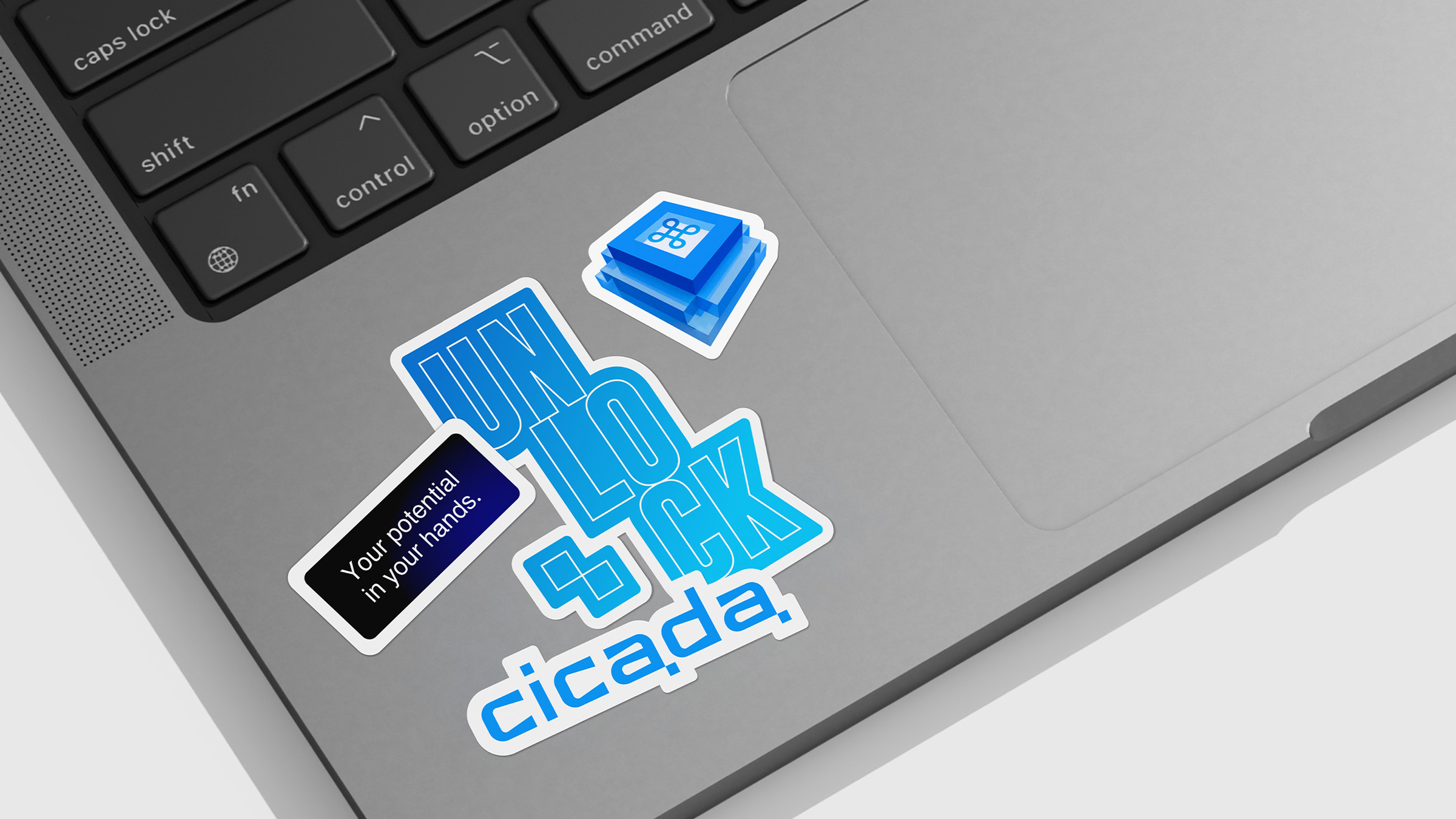 cicada branding, cicada брендинг, логотип, лого, фирменный стиль, коммуникация, мерч, линейка мерча, стикеры, ноутбук