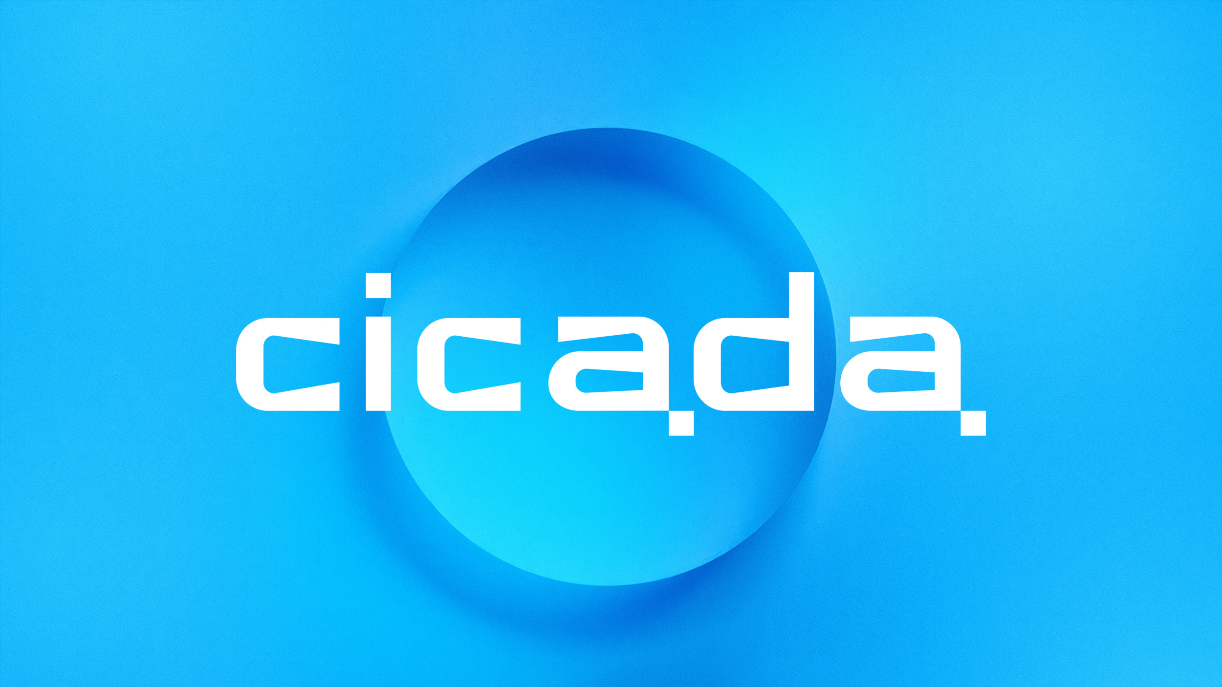 cicada branding, cicada брендинг, логотип, лого, фирменный стиль